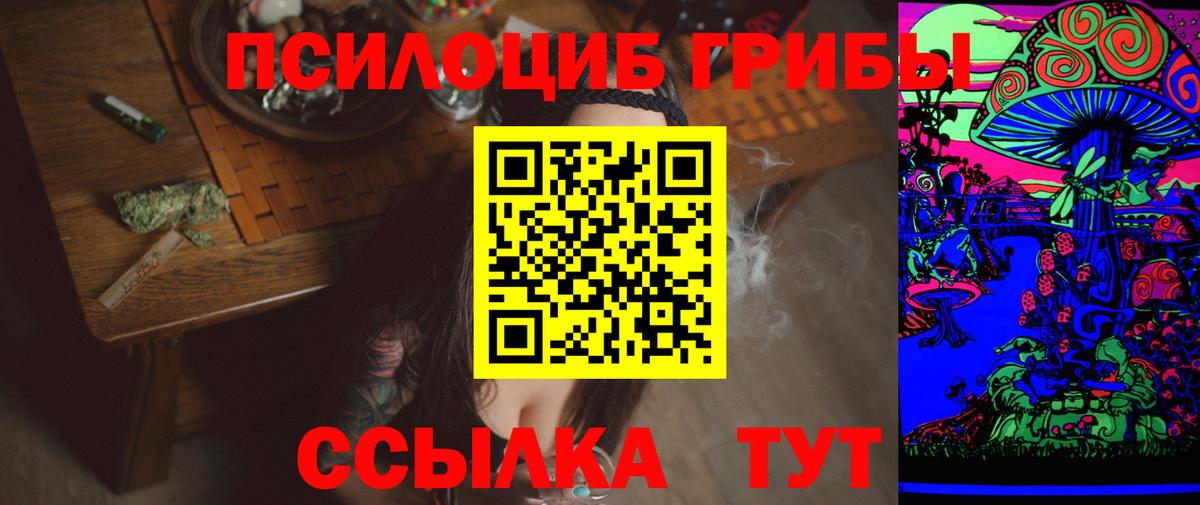 Псилоцибиновые грибы прущие грибы Берёзовский